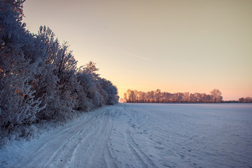 Winter Wunderland - 158788972