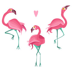 Colorful flat vector flamingo set