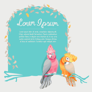 Colorful parrots vector card template