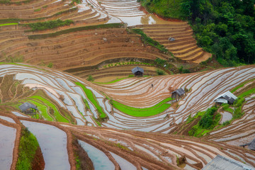 Terraced ricefield in water season in La Pan Tan, Vietnam