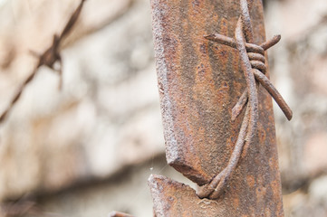 Wallpaper macro Rusty Barbed wire right position