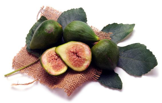Ficus carica &Sigma;&upsilon;&kappa;&iota;ά Echte Թուզ Feige Fichi 무화과나무 अंजीर Obična انجیر smokva תאנה Vijgenboom Figowiec Fiku pospolity Common fig Инжир Figs Figos Vả t&acirc;y 無花果 İncir تين شائع Fico