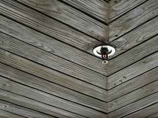 Fire Sprinkler on wooden ceiling.