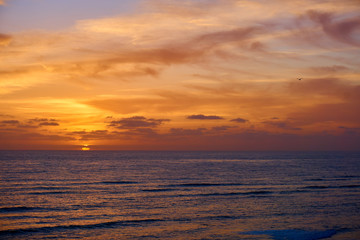 Fototapeta na wymiar ein Vogel fliegt vor dem malerischen Sonnenuntergang am Meer, Pazifik, San Diego, Amerika