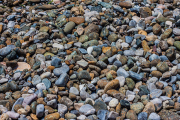 beach stone