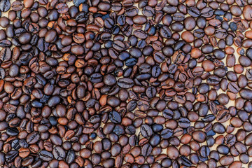  Brown roasted coffee beans (selective focus)