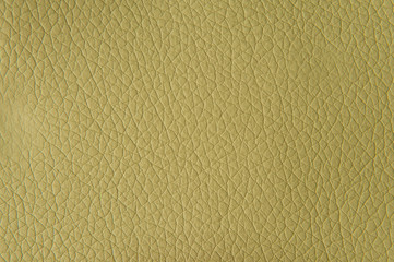 light green leather texture for background