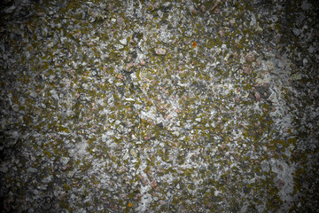 Cracked concrete texture closeup background