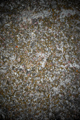 Cracked concrete texture closeup background