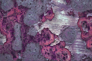 Texture of rusty iron background and texture of rusty on iron with vintage color and vintage style