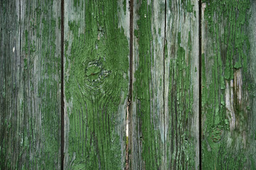 Fototapeta na wymiar The old wood texture with natural patterns