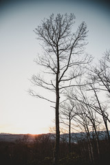 Gaby Fleischmann - www.inlightfulphotography.com - mountains