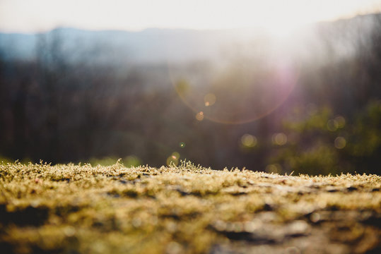 Gaby Fleischmann - www.inlightfulphotography.com - Moutains
