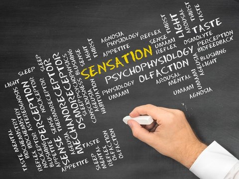 Sensation (psychology)
