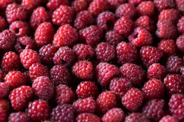 Ripe raspberry background