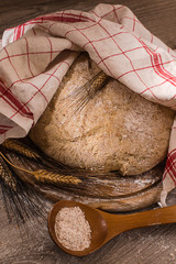 cereal bread shape leavening