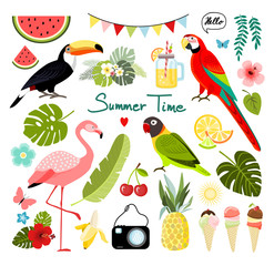 Summer tropical graphic elements. Parrot, toucan and flamingo bird. Jungle floral illustrations, palm leaves, hibiscus, flowers, tropical fruits. Isolated vector illustration