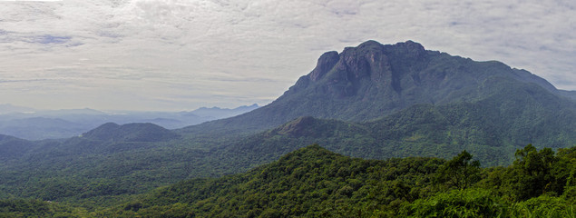 Mountain in the atlantic forest jungle Brazil