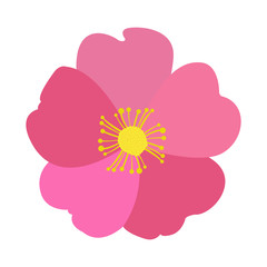 Fototapeta premium Isolated colored flower on a white background, Vector illustration