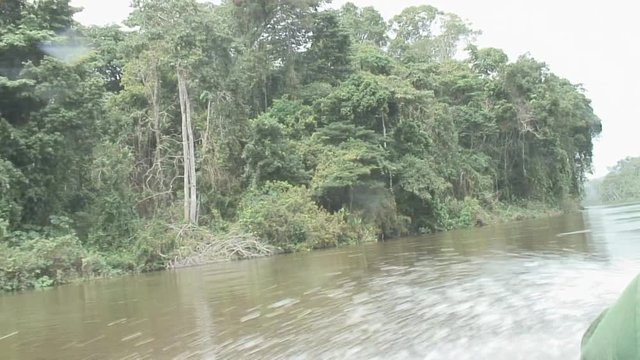 Boating on the Palumeu River in Suriname, POV