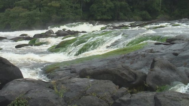 Small waterfalls in Palumeu river