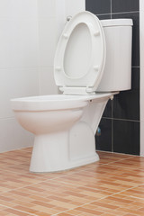 White toilet bowl