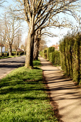 Typical Suburban Street in England