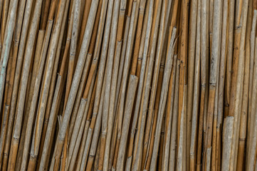 Pile of dry cane