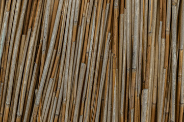 Pile of dry cane