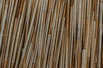 Pile of dry cane