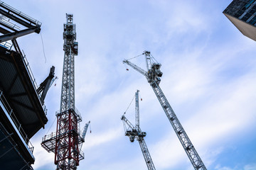 Naklejka premium Crane