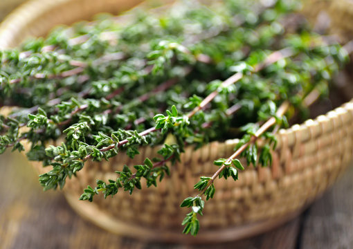 Thyme herb in basket on wooden table.