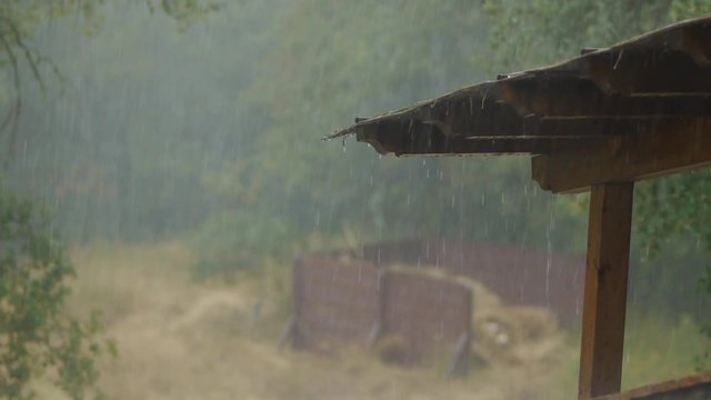 Summer Rain Falling On A Roof In Tuscany, Italy