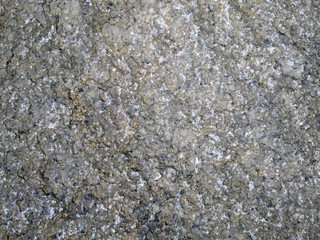 gray rough  wall Concrete background