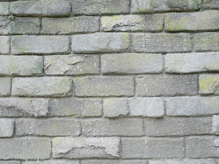 Concrete black and white background