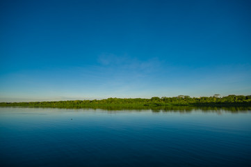 Obraz na płótnie Canvas Jungle reflected in a lake in Limoncocha National Park in the Amazon rainforest in Ecuador