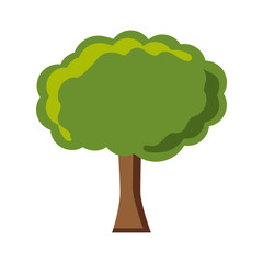 tree icon over white background colorful design  vector illustration