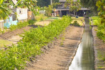 Small ditches used in agriculture, family size