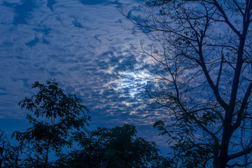 Fototapeta premium Blue cloudy sky in the twilight on natural background.