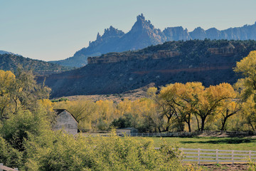 Utah Fall Farm
