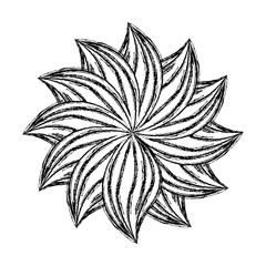 beautiful flower icon over white background vector illustration