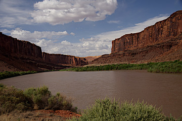 Colorado River from Potash Road