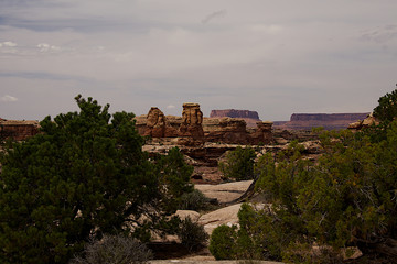 Fototapeta premium Big Springs Canyon Overlook A