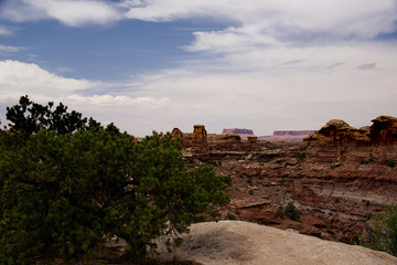 Fototapeta premium Big Springs Canyon Overlook B