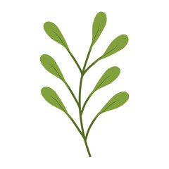 stem with leaves icon over white background colorful design vector illustration