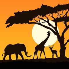 Fototapeta na wymiar Wild animals silhouette
