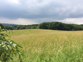 Gewitterstimmung über Naturlandschaft