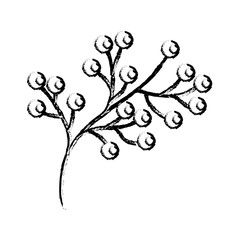 stem with beautiful flowers icon over white background vector illustration