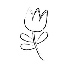 beautiful flower and leaves icon over white background vector illustration