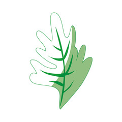 Plant nature ecology icon vector illustration graphic design